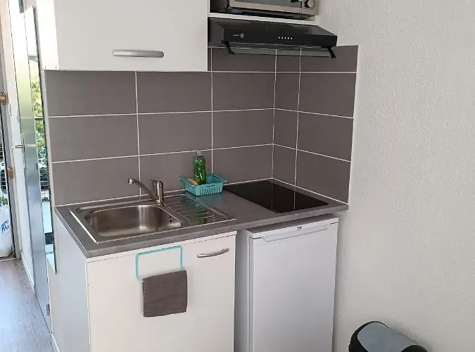 Appartement Proche Du Chu *