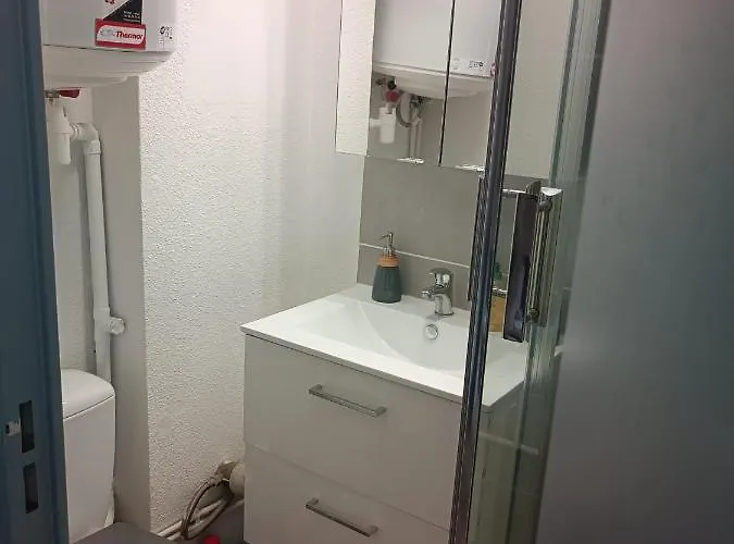 Appartement Proche Du Chu *