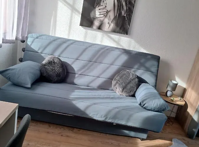 Proche Du Chu Appartement